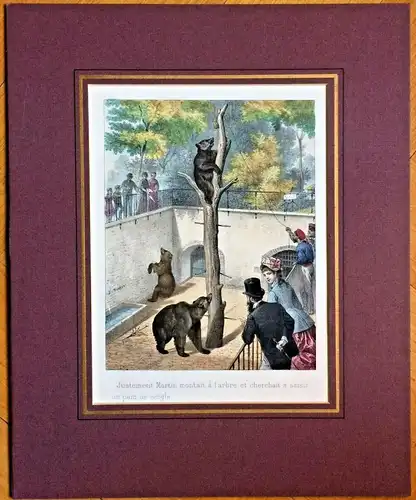 Colorierte Lithographie Szene in einem Bärenzwinger von E. Duruy,  ca 1880