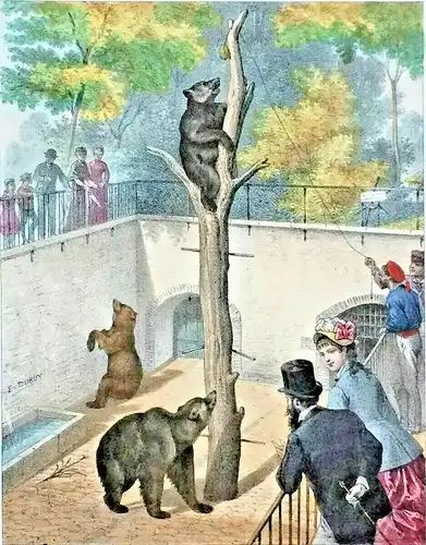 Colorierte Lithographie Szene in einem Bärenzwinger von E. Duruy,  ca 1880