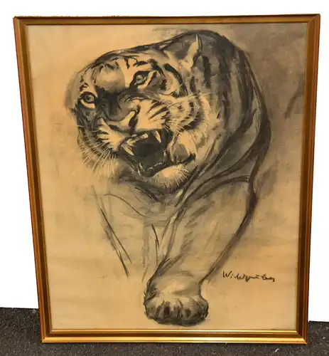 Zeichnung,Kohle,Tiger,signiert,(Wildgruber ??) wohl 1930