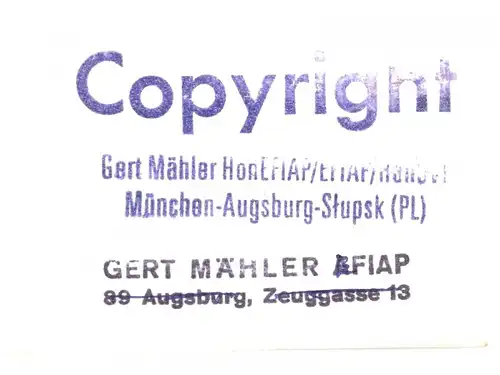 Original-Photographie von Gert Mähler „Junge Niederländer“