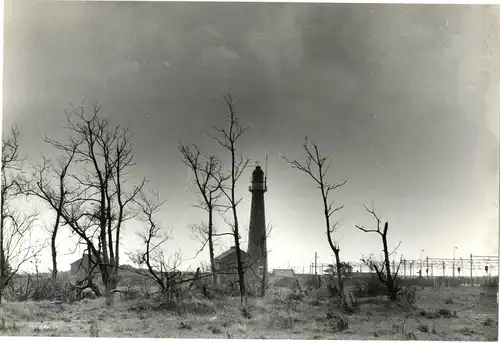 Original-Photographie von Gert Mähler „Leuchtturm Hoeg of Holland“ 1967