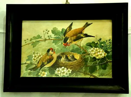 Aquarell,J.Rauwolf,Vögel füttern ihr Jungen im Nest,1.Hälfte 20.Jhdt,gerahmt