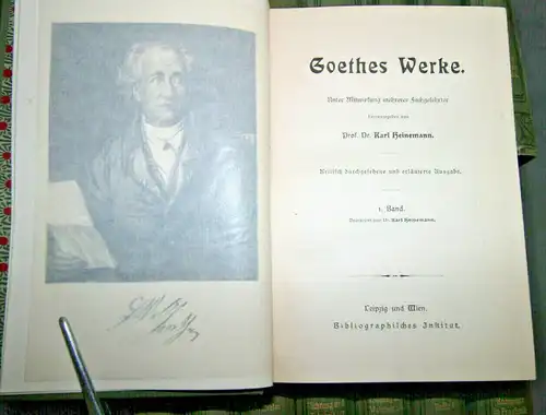 Goethes Werke,15 Bände, Meyers Klassiker-Ausgaben,Hrsg.:Karl Heinemann u.a.,1900