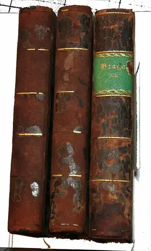 Dietrich, Anton (Hrsg.):Braga,Dresden Wagner'sche Buchhandlung,1828,4 Bücher,8Bd