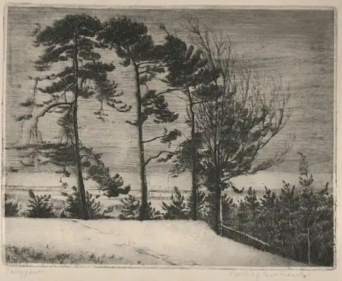 Original-Radierung von Rudolf Eckhardt,herbstliche Waldlandschaft
