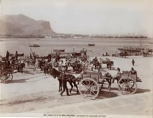 Fotografie, Fr. Alinari, La Stazione di caricamento nel Porto, #19611, ca 1910