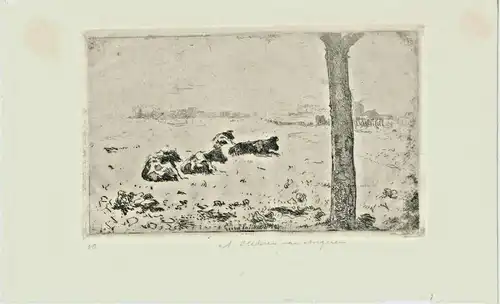 Original-Lithographie Landschaft mit Kühen, signiert,van Angeren