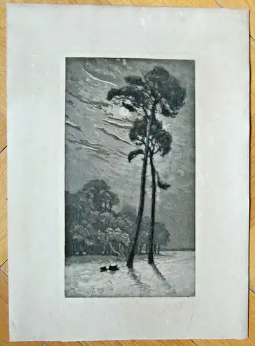 Original-Lithographie Landschaft im Mondschein, signiert, ungerahmt