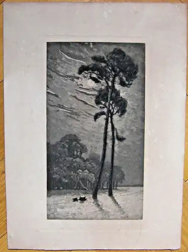 Original-Lithographie Landschaft im Mondschein, signiert, ungerahmt