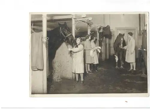 Original-Photographie von Axel Malmström: Szene in einem Pferdestall
