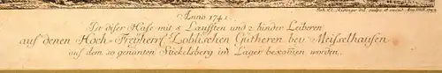 Radierung,Elias Ridinger,1753,Hase mit 8 Läufen