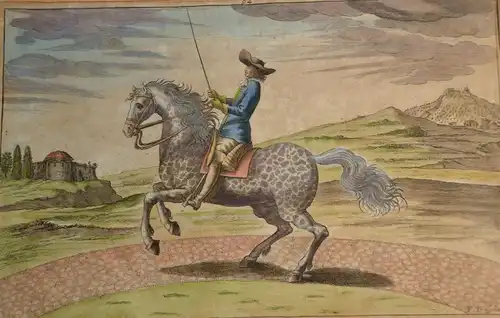 Kupferstich,koloriert,Peter Tröschel, 17.Jhdt,gerahmt, Pferd mit Reiter