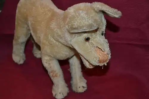 Zwei Stofftiere,Kamel u. Hund, wohl Steiff,um 1950,besch.für Restaurator