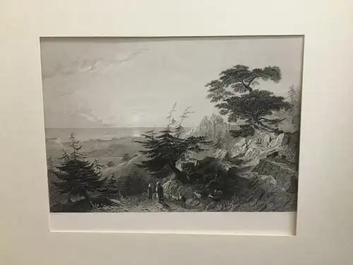Grafik,Stahlstich, Pass in a Cedar Forest. Above Barouk,1840