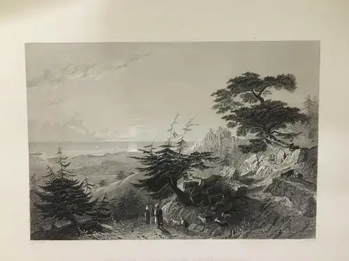 Grafik,Stahlstich, Pass in a Cedar Forest. Above Barouk,1840