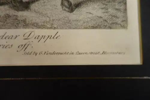 Grafik,Kupferstich,Don Quichote,1725,Nr.19,Charles A.Coypel ,G. Vandergucht