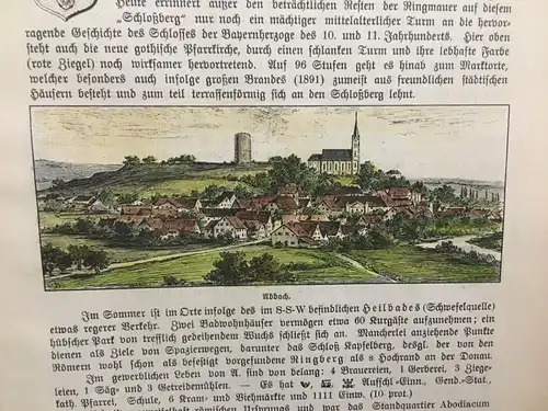 Grafik, Holzschnitt koloriert, Bad Abbach