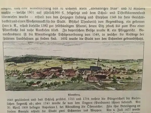 Grafik, Holzschnitt koloriert, Abensberg