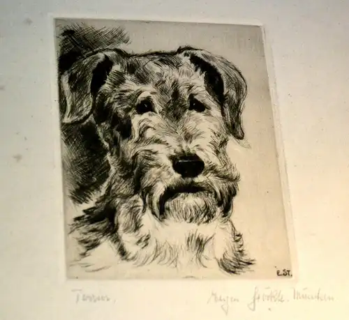 Radierung,Terrier,Eugen Stöckle,München,wohl 1 Hälfte 20.Jhdt.