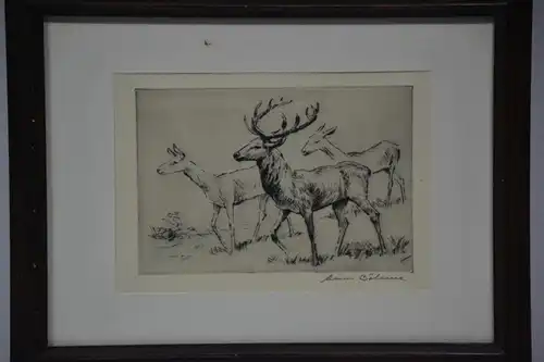 Radierung, Hirsch und Hirschkühe, Hans Böhme, etwa 1960