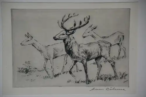 Radierung, Hirsch und Hirschkühe, Hans Böhme, etwa 1960