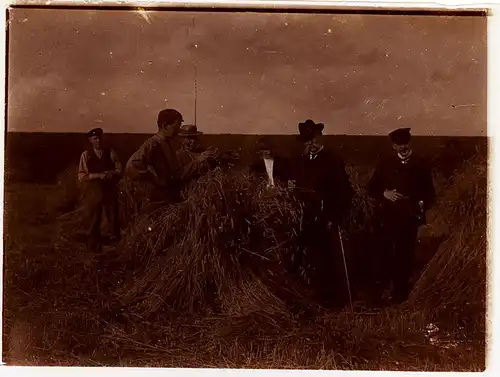 Fotografie,gebräunt,Weizenernte,ca 1920