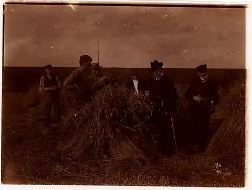 Fotografie,gebräunt,Weizenernte,ca 1920