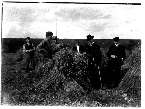 Fotografie,gebräunt,Weizenernte,ca 1920
