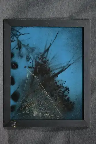 Ölbild auf Karton, Spinnennetz