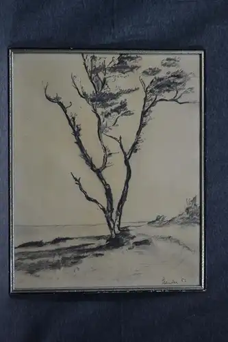 Kohlezeichnung, Baum, Steinke, 1952