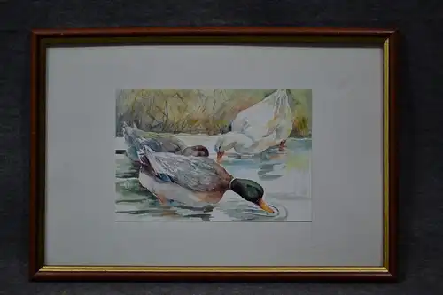 Aquarell, Enten, gerahmt und verglast