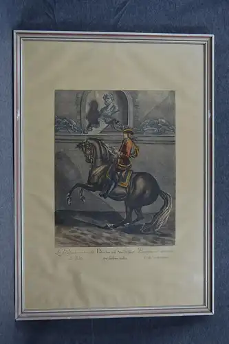 Kupferstich, koloriert, Palsaden, Pferd, Ridinger, etwa 1800