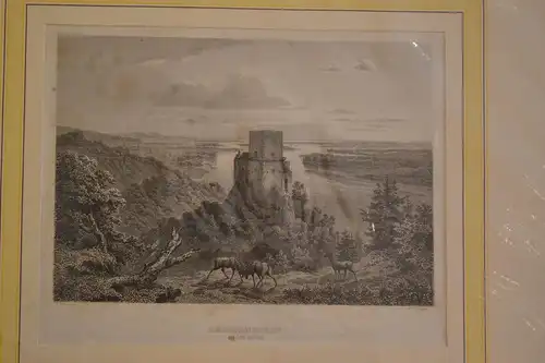 Stahlstich, Greifenstein an der Donau, P. Ahrens