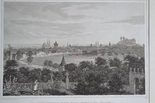 Stahlstich, Nürnberg von der Nordostseite, Mitte 19 Jhdrt., gez. Ludwig Lange