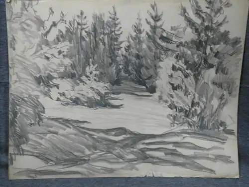 Bleistiftzeichnung,um 1900,Auguste Reissmüller,1869-1958, München, Waldlichtung