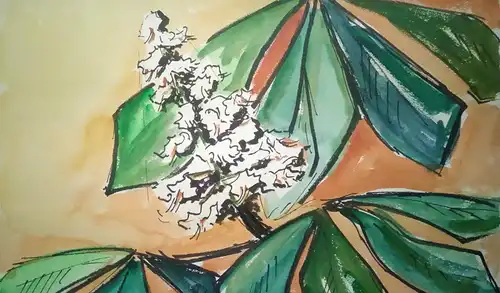 Aquarell,W.Ulrich,1966,Kastanienblüte