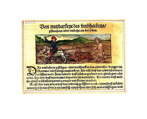 Holzschnitt,um1700,Ackerbau,Pflügen,koloriert