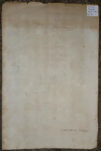 Grafik,Blatt aus der Scheuchzer-Bibel,Tafel DCCXI