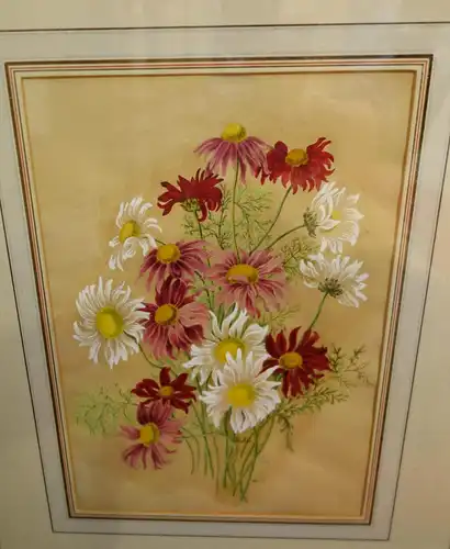 Aquarell,Wasserfarben,Blumenstrauß,Margeriten,ca.1930,Passepartout,verglast