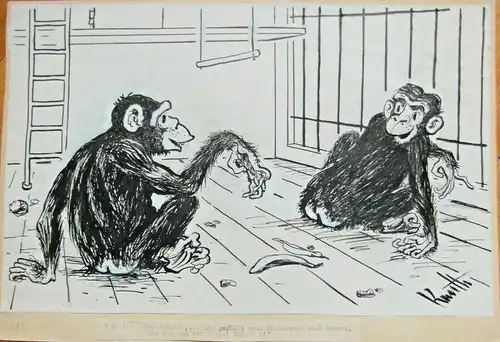 Original-Tuschezeichnung – Cartoon von Alexander Knuth, 1950er Jahre