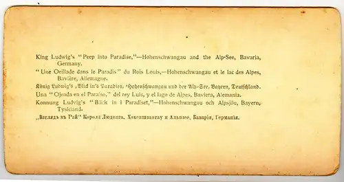 Stereoskopie,Hohenschwangau und der Alpsee,Littleton View Co.1860