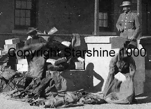 Fotografie,Deutsche Kolonie,Süd-West-Afrika,Kolonialtruppen1904/6,Originalfoto