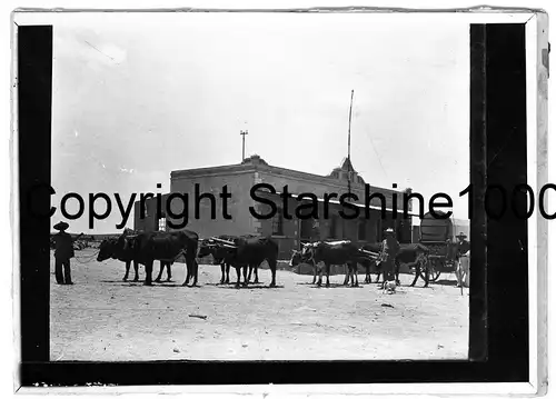 Fotografie,Deutsche Kolonie,Süd-West-Afrika,Kolonialtruppen1904/6,Originalfoto