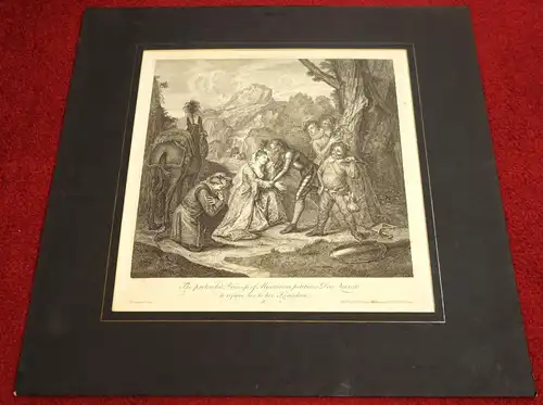 Grafik,Kupferstich,Don Quichote,1725,Nr.6,Charles A.Coypel ,G. Vandergucht