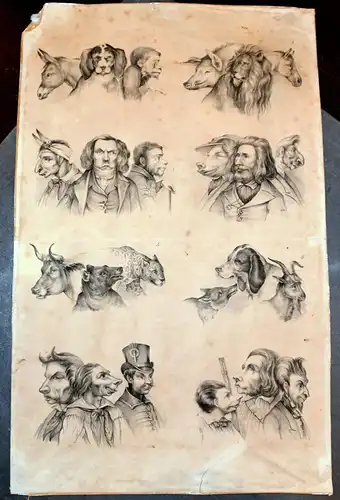 Lithografie,Physiognomik,Physiognomie/Ähnlichkeit zw. Mensch+Tier,um 1850,selten
