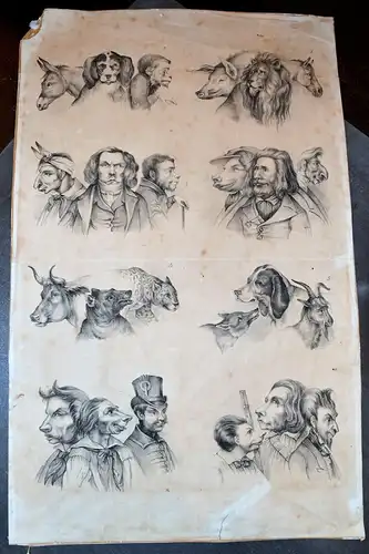 Lithografie,Physiognomik,Physiognomie/Ähnlichkeit zw. Mensch+Tier,um 1850,selten