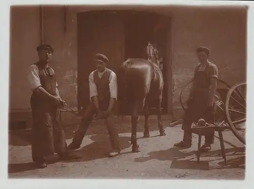 Fotografie, s/w, Hufschmied bei der Arbeit, etwa 1900