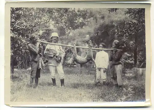 zwei Originalfotografien,Bay. Forstinspektor auf Java mit erlegtem Panther,1907