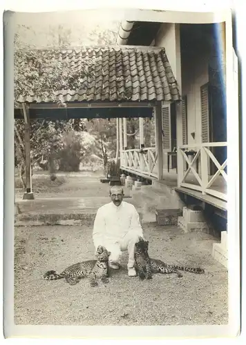 zwei Originalfotografien,Bay. Forstinspektor auf Java mit erlegtem Panther,1907