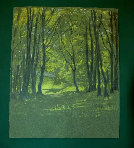 Zeichnung,Farbstift,auf grünem Papier,Waldlichtung im Sonnenschein,signiert